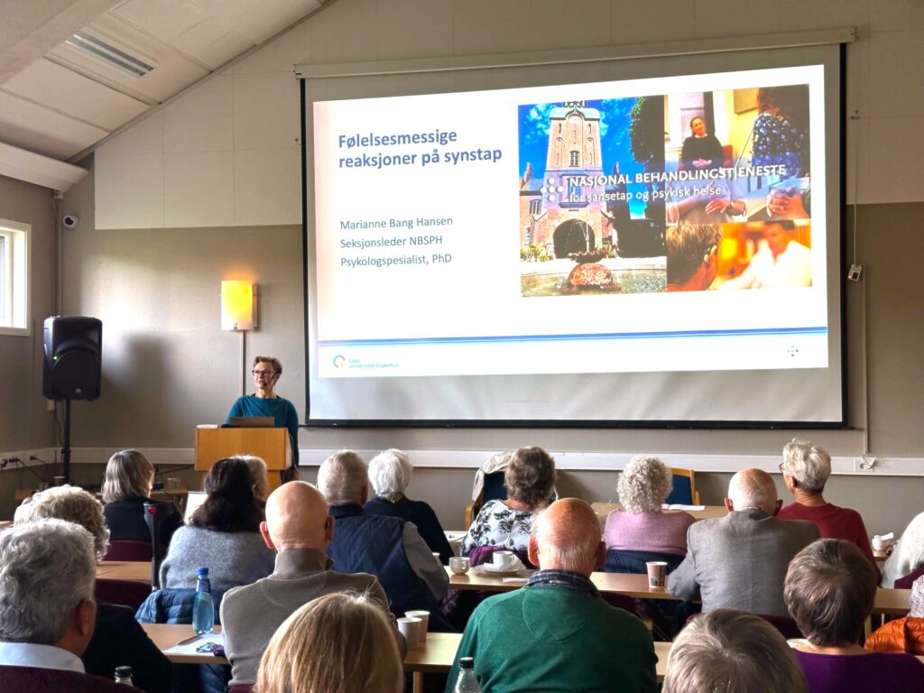 Seksjonsleder Marianne Bang Hansen foreleser om psykisk helse på seminar i regi av Norges Blindeforbund i vestfold. Mange deltakere lytter i salen.